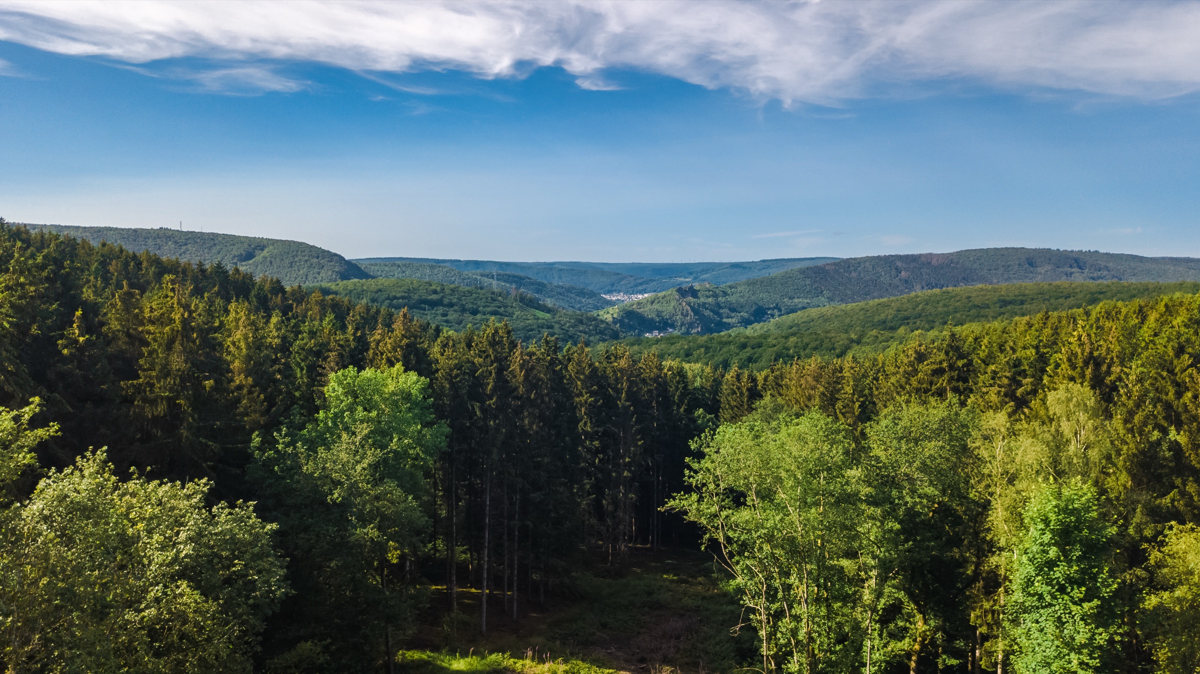 Wooded hills of the Belgian Ardennes